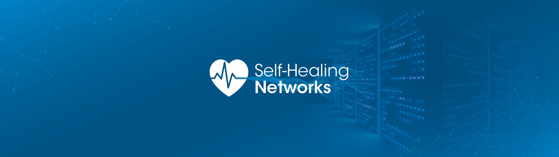 Self-Healing Networks