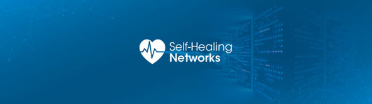 Self-Healing Networks